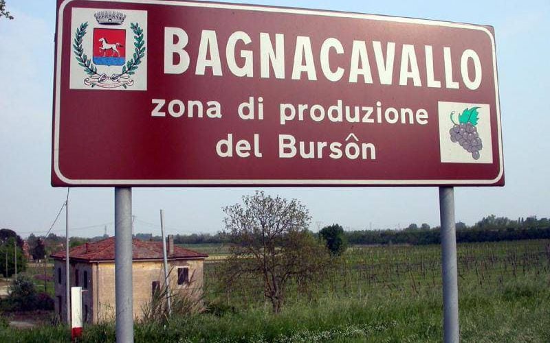 Bagnacavallo, zona di produzione dei vino raro Burson