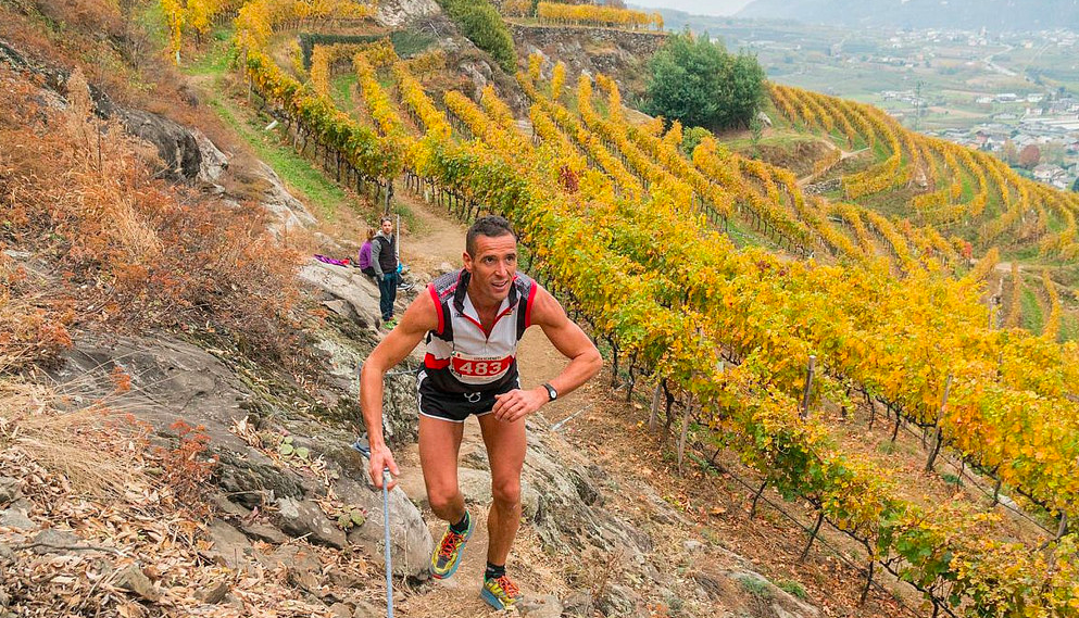 I terrazzamenti della Valtellina (credit photo Meneghello I Valtellina Wine Trail)