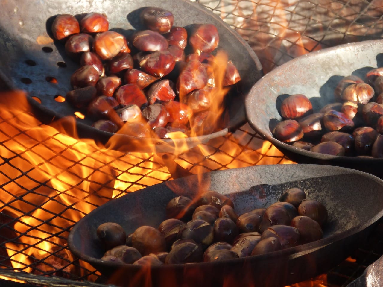 Castagne: quel frutto atipico, tipico del territorio ...