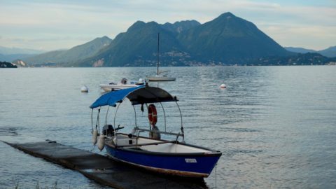 pesce-di-lago-maggiore