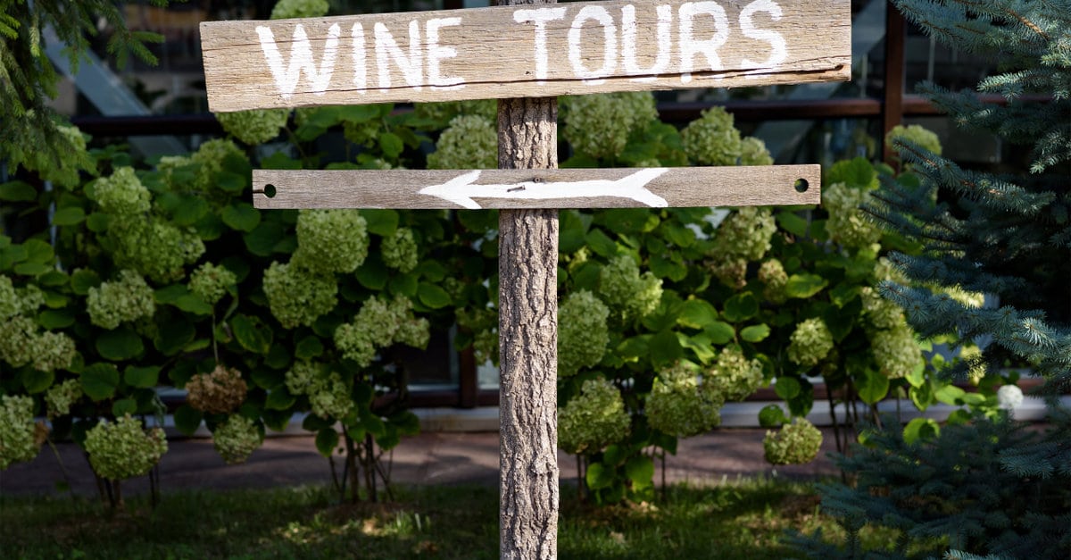 turismo del vino