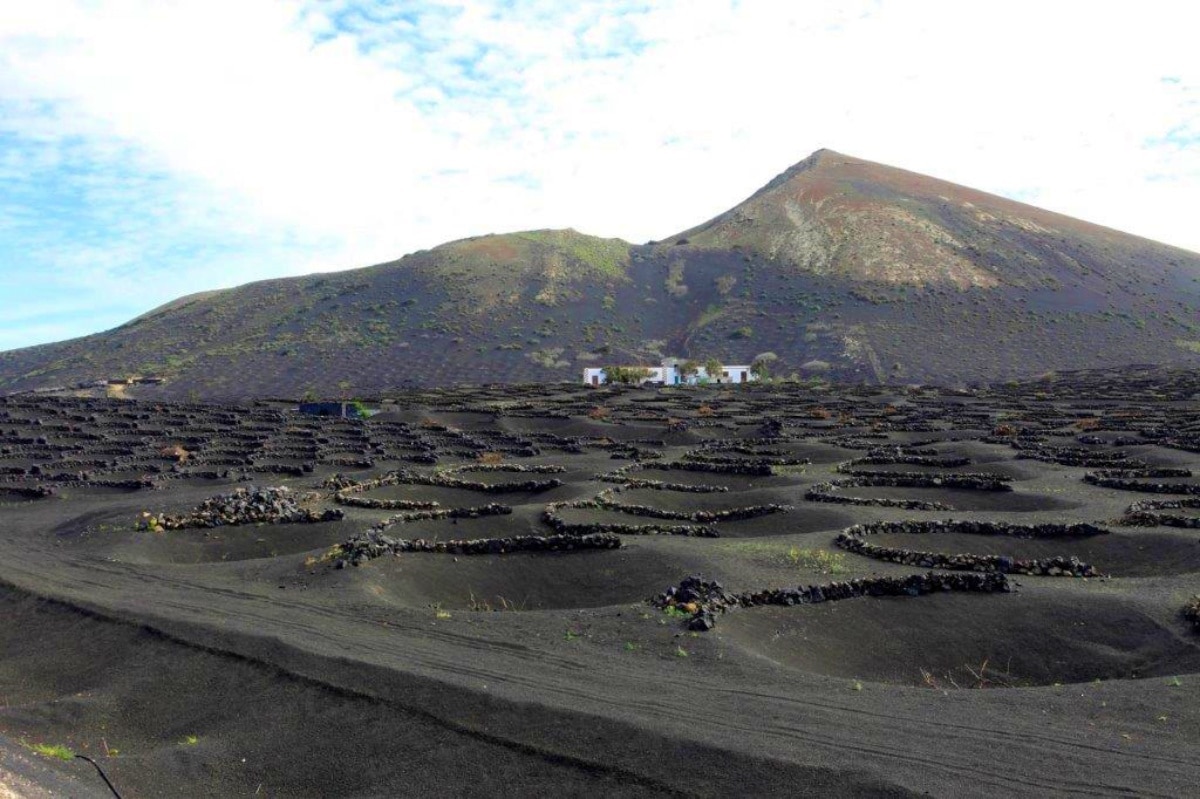 prodotti-tipici-canarie