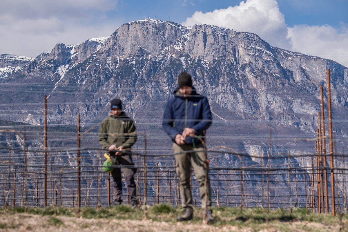 Cura della campagna con vista sulla Paganella - Moser Trento