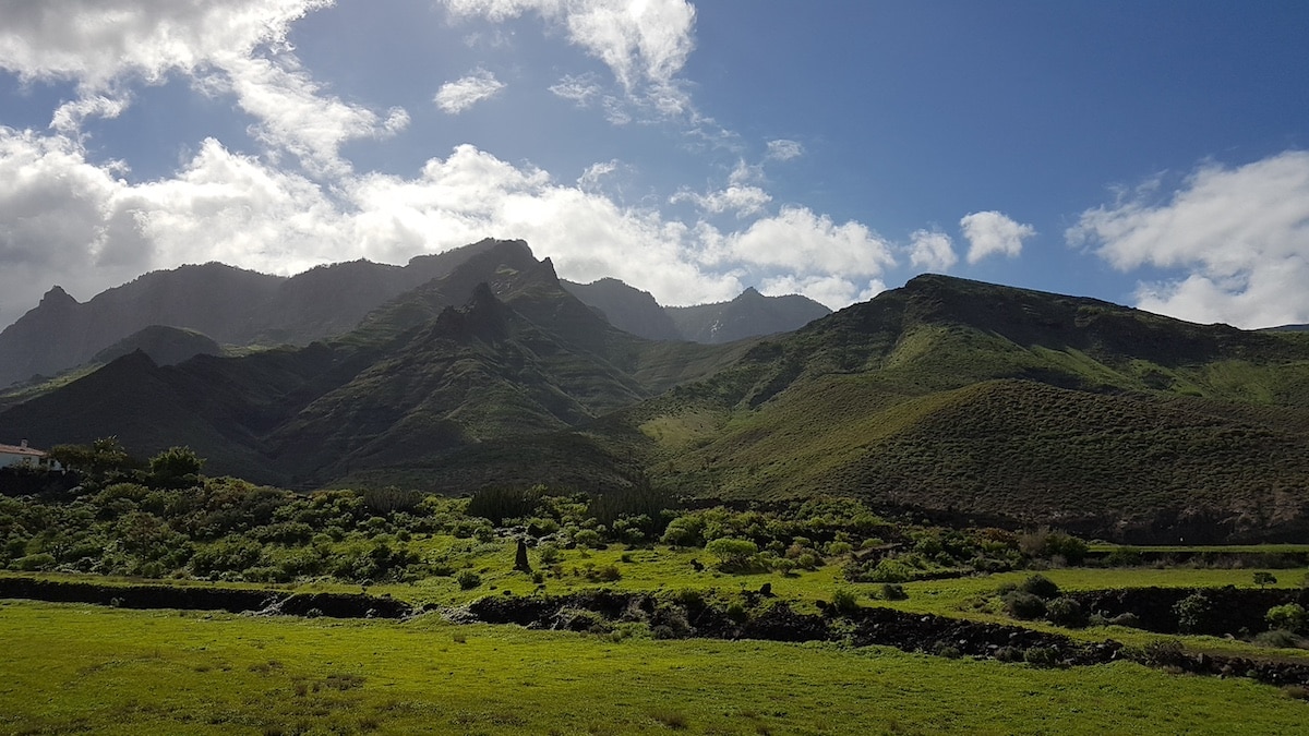 Isole Canarie Gran Canaria Caffè Valle de Agaete