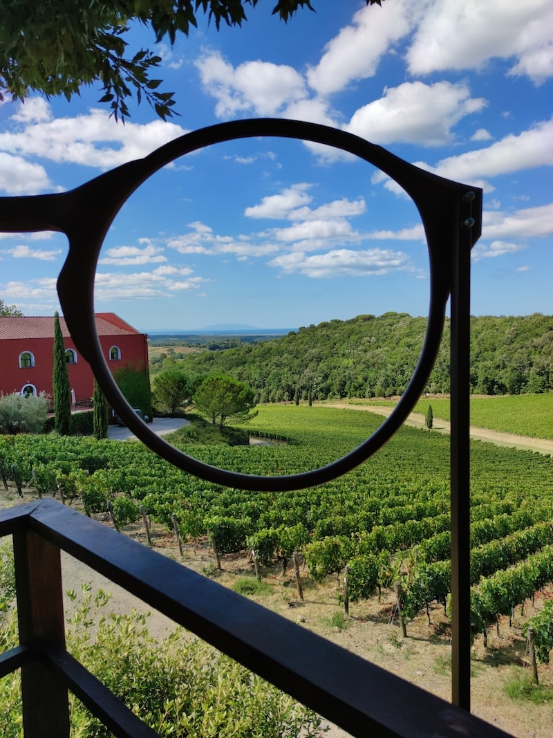 cantina Caiarossa a Riparbella