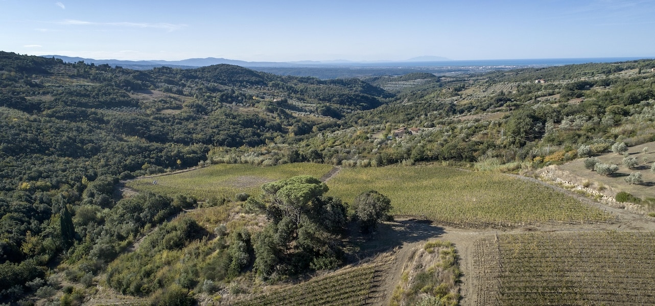 colline toscane di Riparbella