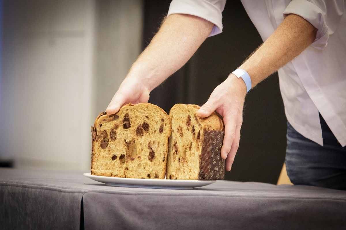 miglior panettone al cioccolato