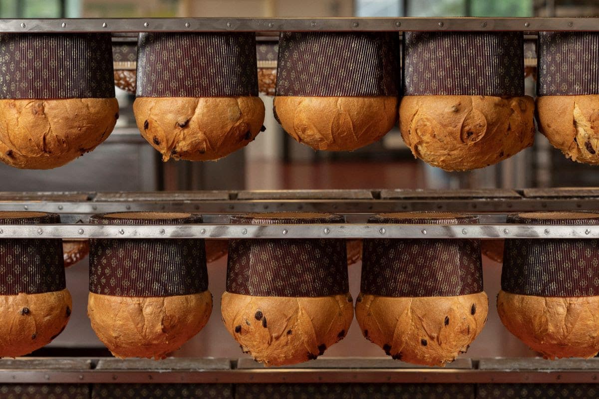 panettone-artigianale-dolcemascolo